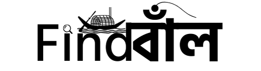 findbal.com
